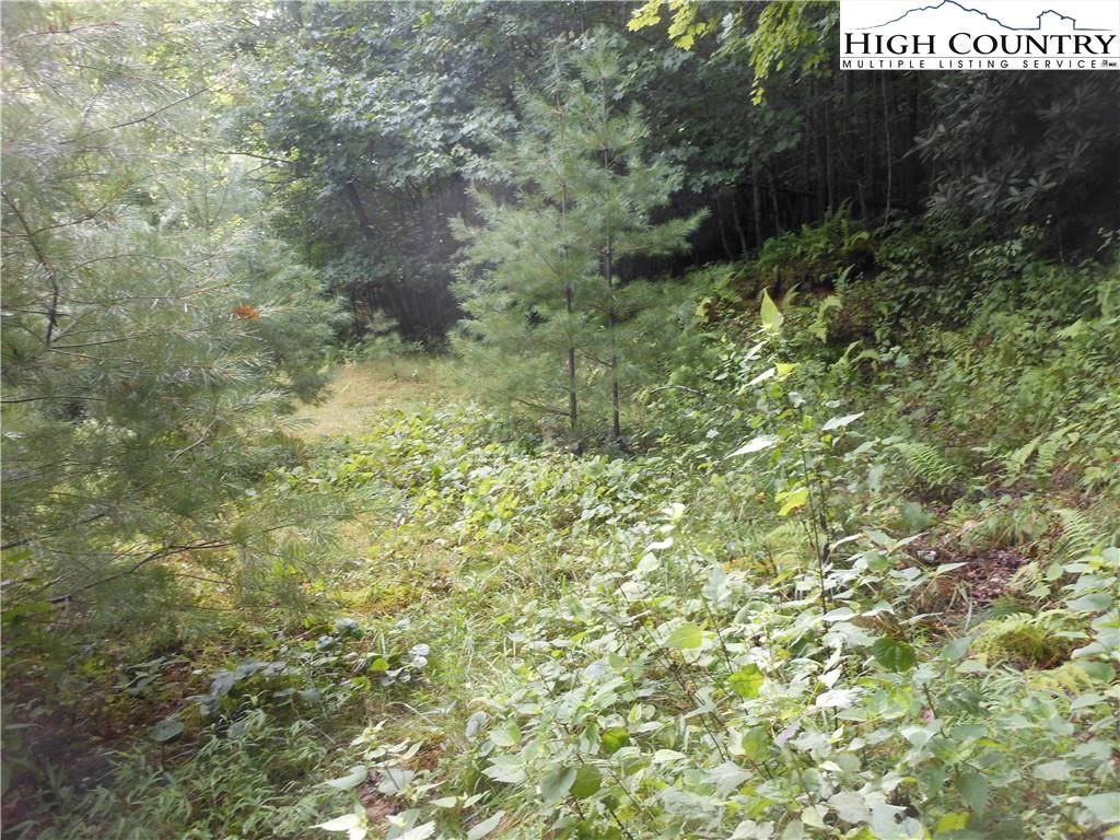 Image number 14 for the current listing