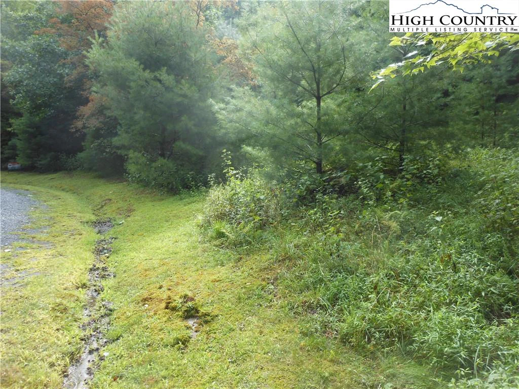 Image number 15 for the current listing