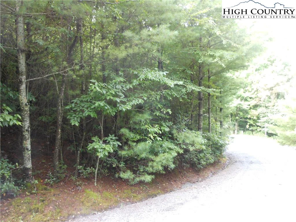 Image number 3 for the current listing