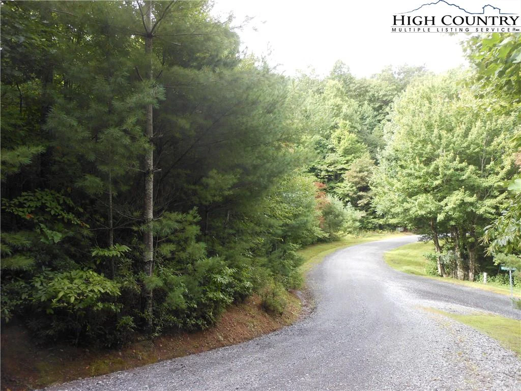 Image number 4 for the current listing