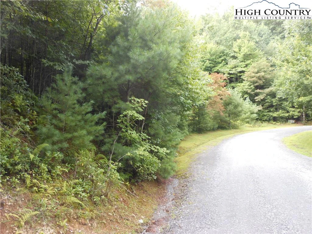 Image number 5 for the current listing