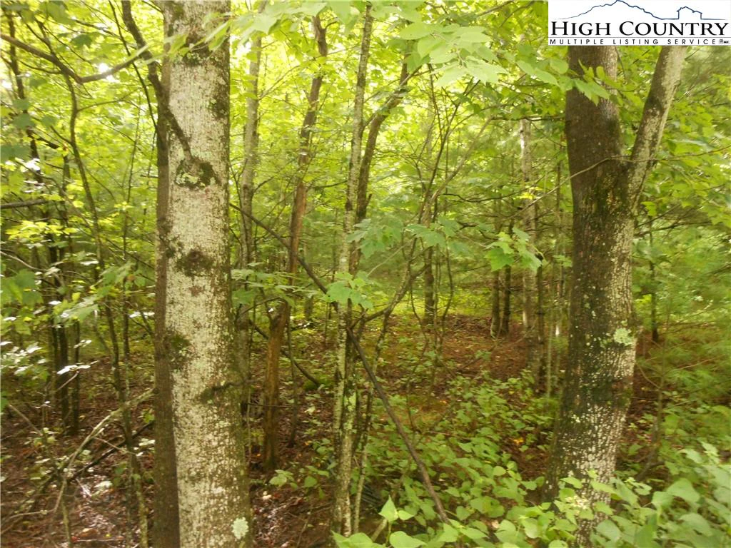Image number 6 for the current listing