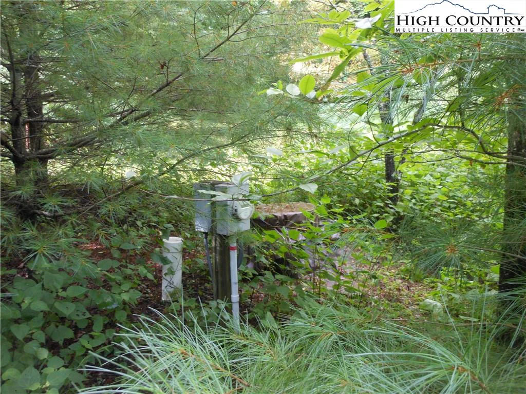Image number 7 for the current listing