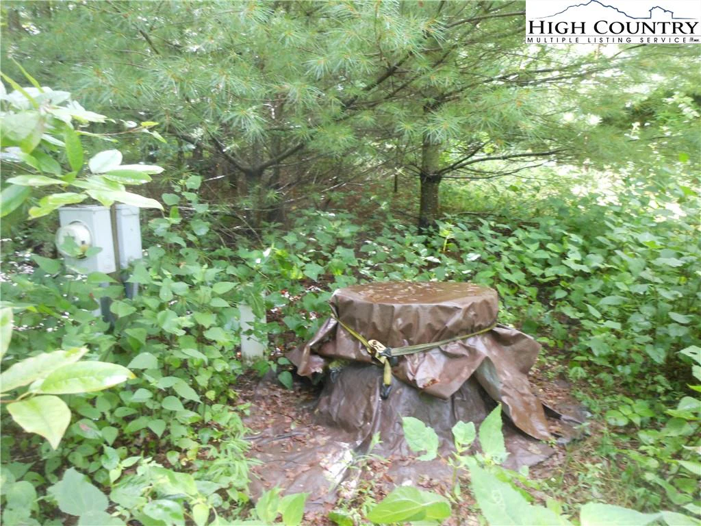 Image number 8 for the current listing