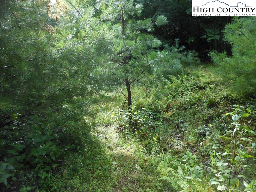 Image number 9 for the current listing