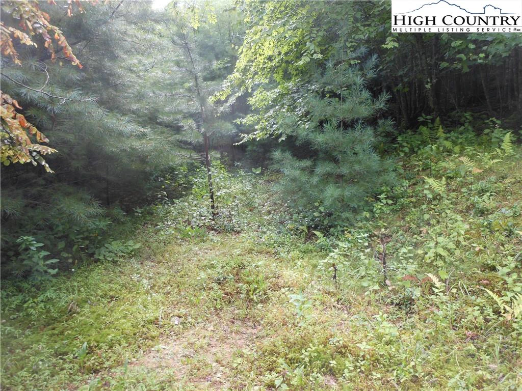 Image number 10 for the current listing