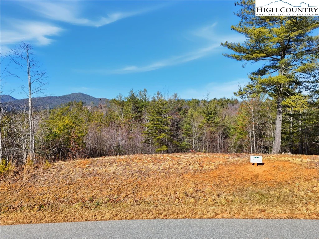 Image number 1 for the current listing