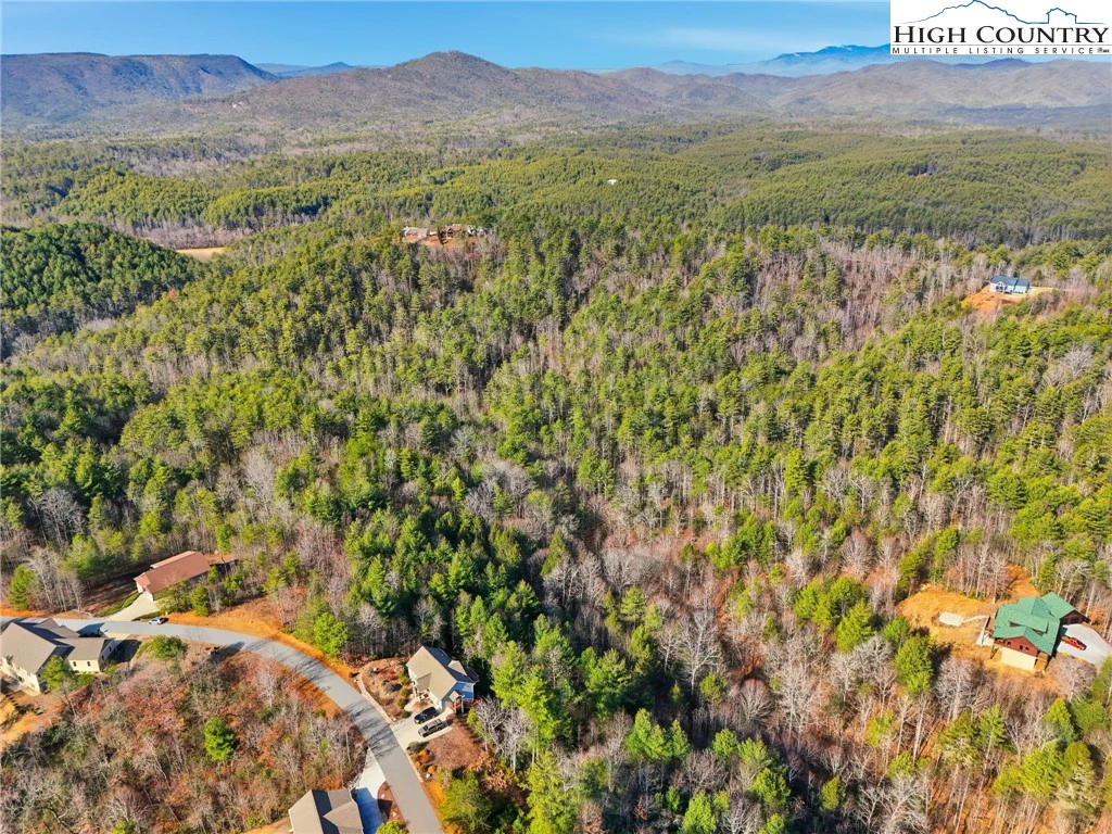 Image number 5 for the current listing