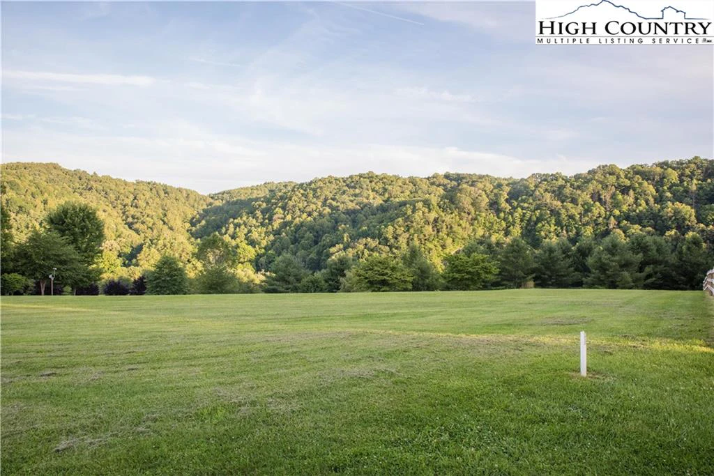 Image number 1 for the current listing