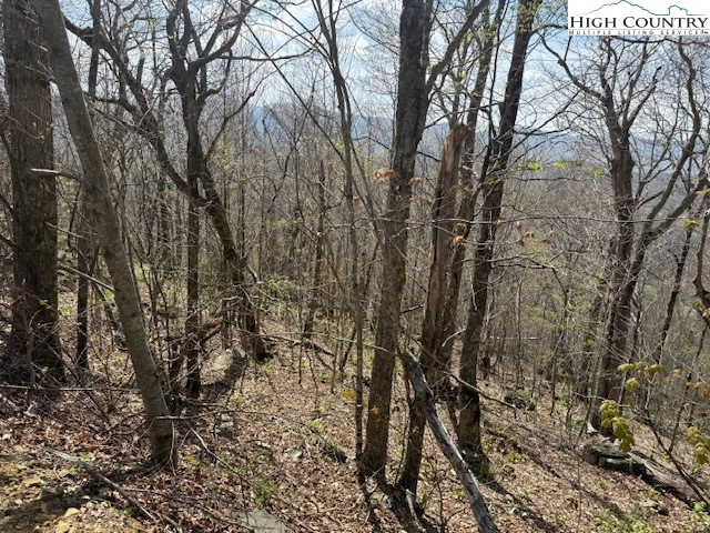 Image number 4 for the current listing