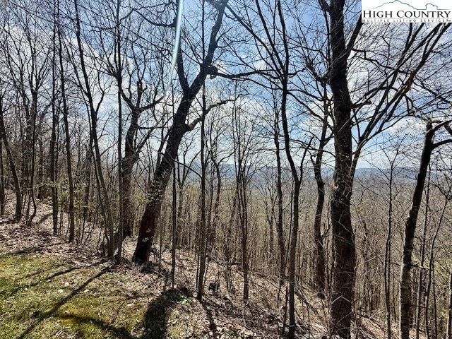 Image number 13 for the current listing