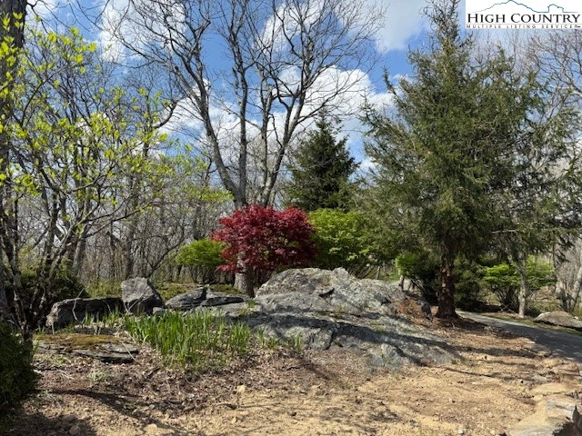 Image number 18 for the current listing