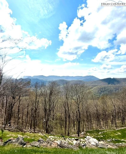Image number 1 for the current listing