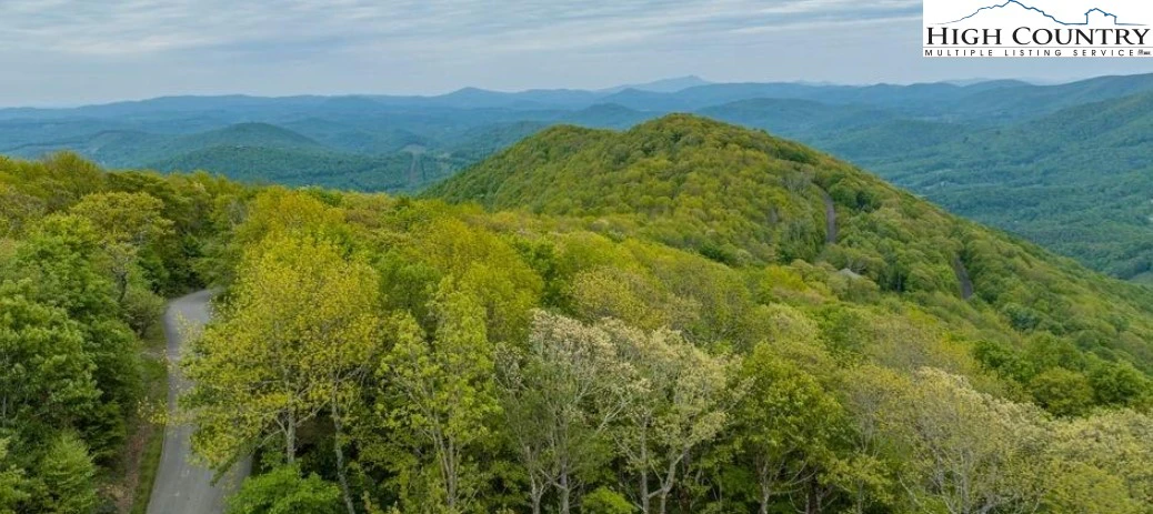Image number 7 for the current listing