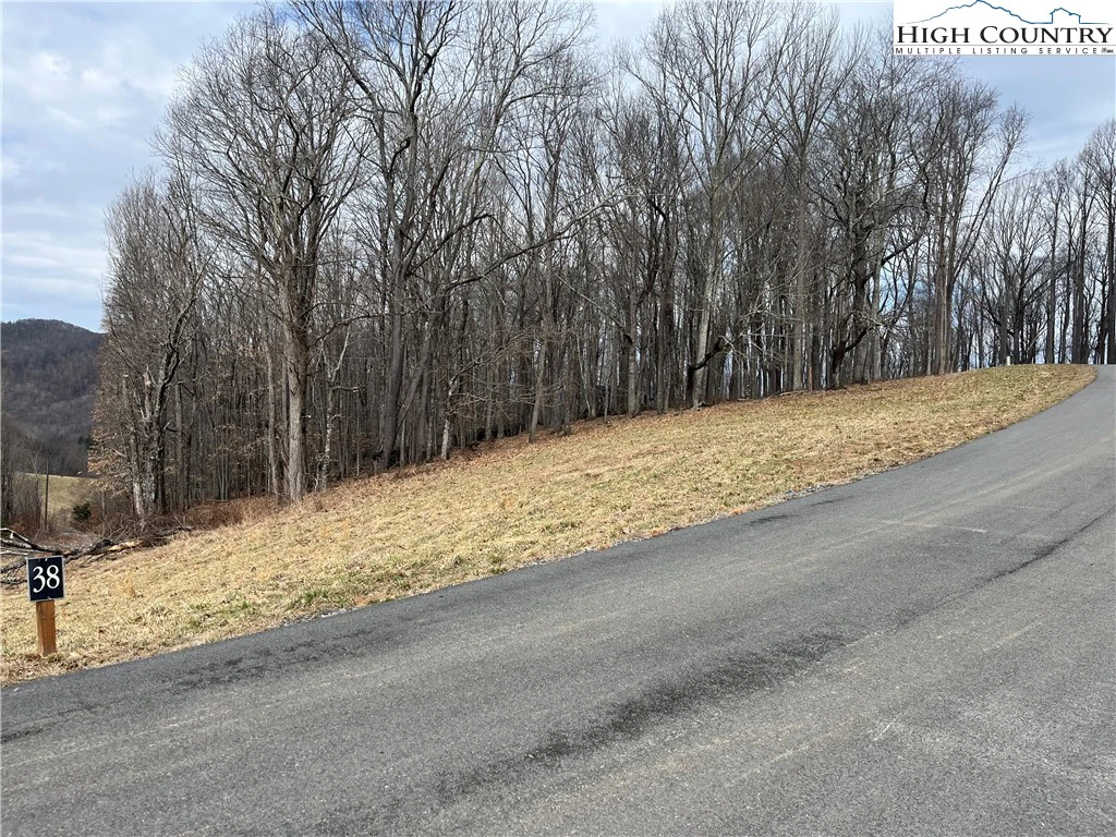 Image number 3 for the current listing