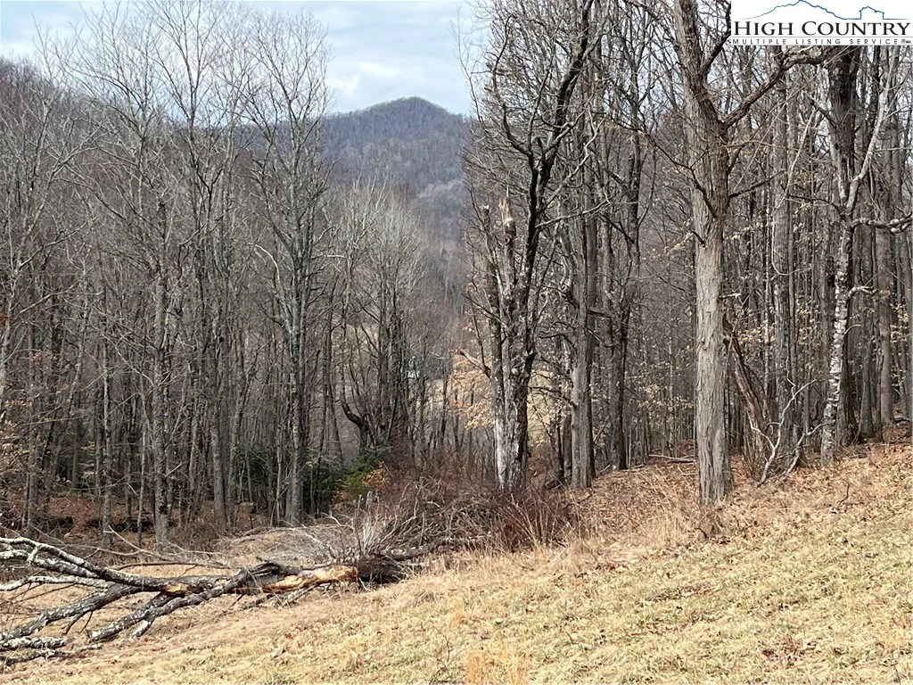 Image number 1 for the current listing
