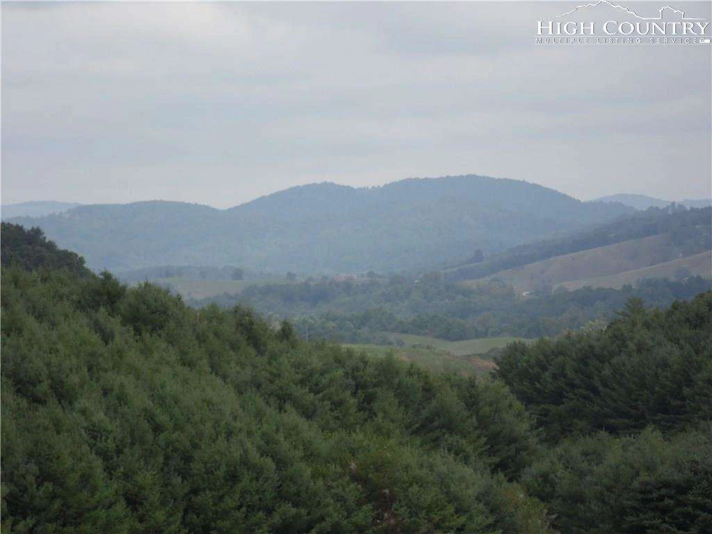 Image number 1 for the current listing