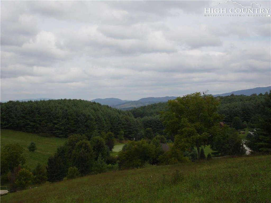 Image number 11 for the current listing