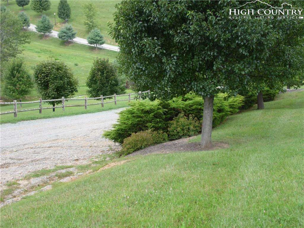 Image number 12 for the current listing