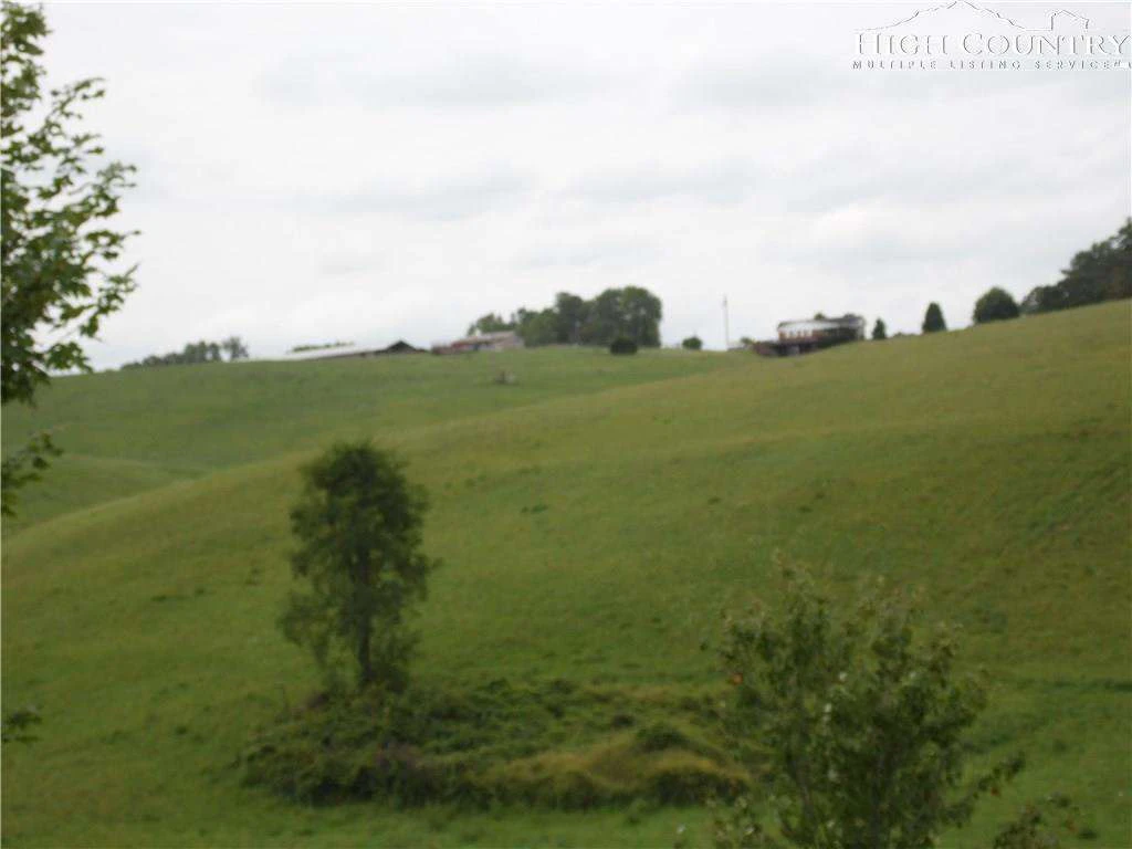 Image number 13 for the current listing
