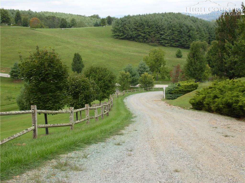 Image number 14 for the current listing