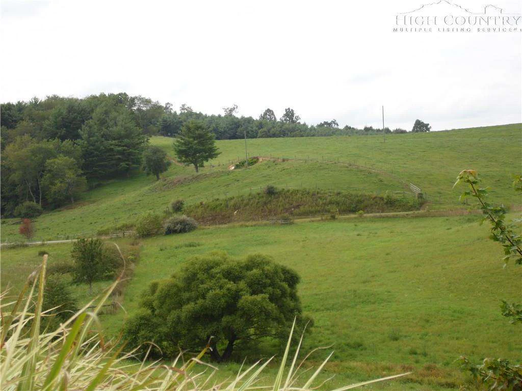 Image number 15 for the current listing