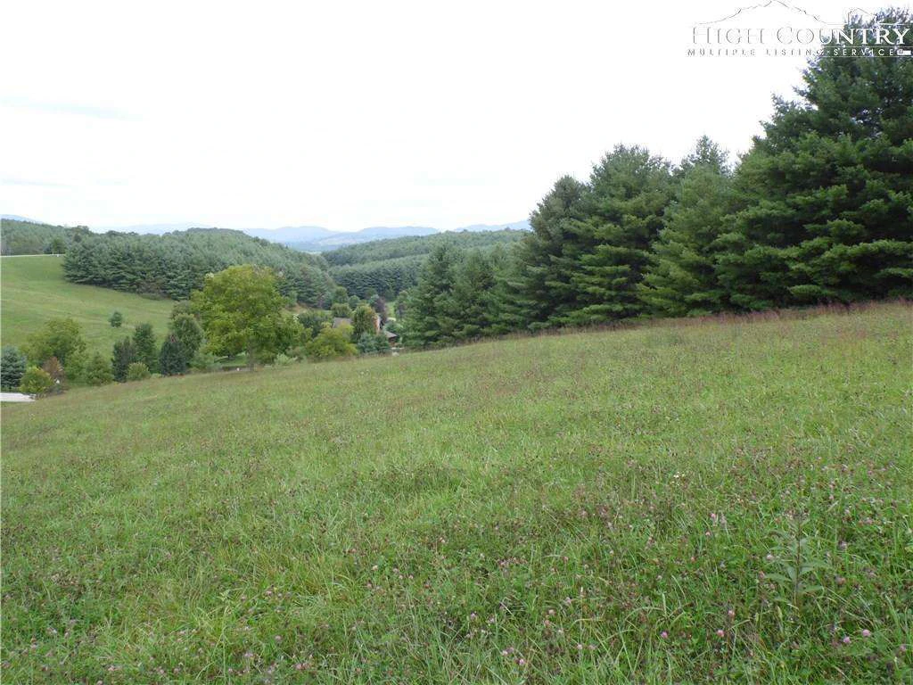 Image number 4 for the current listing