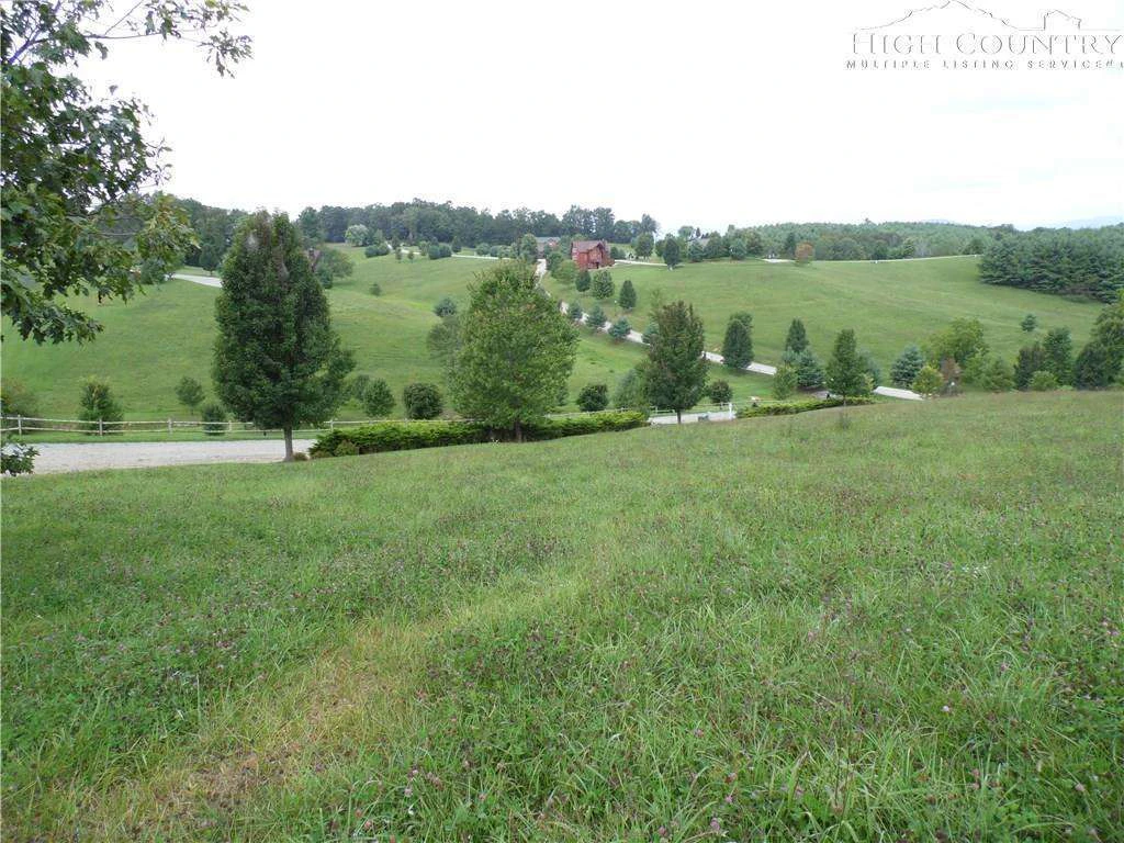 Image number 5 for the current listing