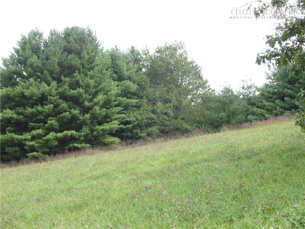 Image number 7 for the current listing
