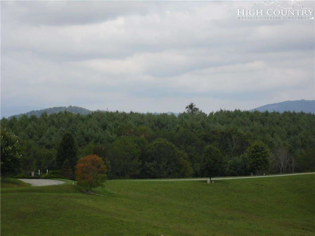 Image number 8 for the current listing