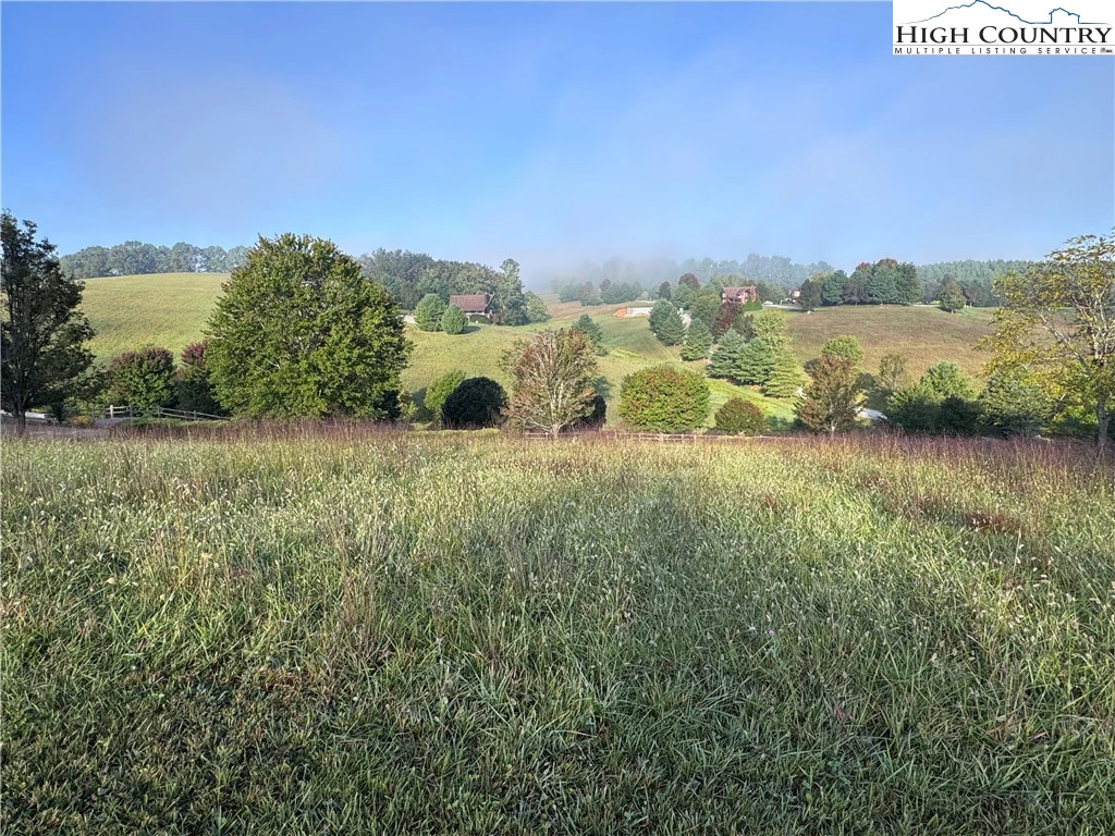 Image number 1 for the current listing