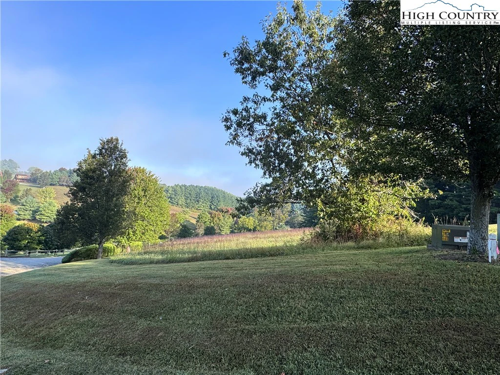 Image number 16 for the current listing