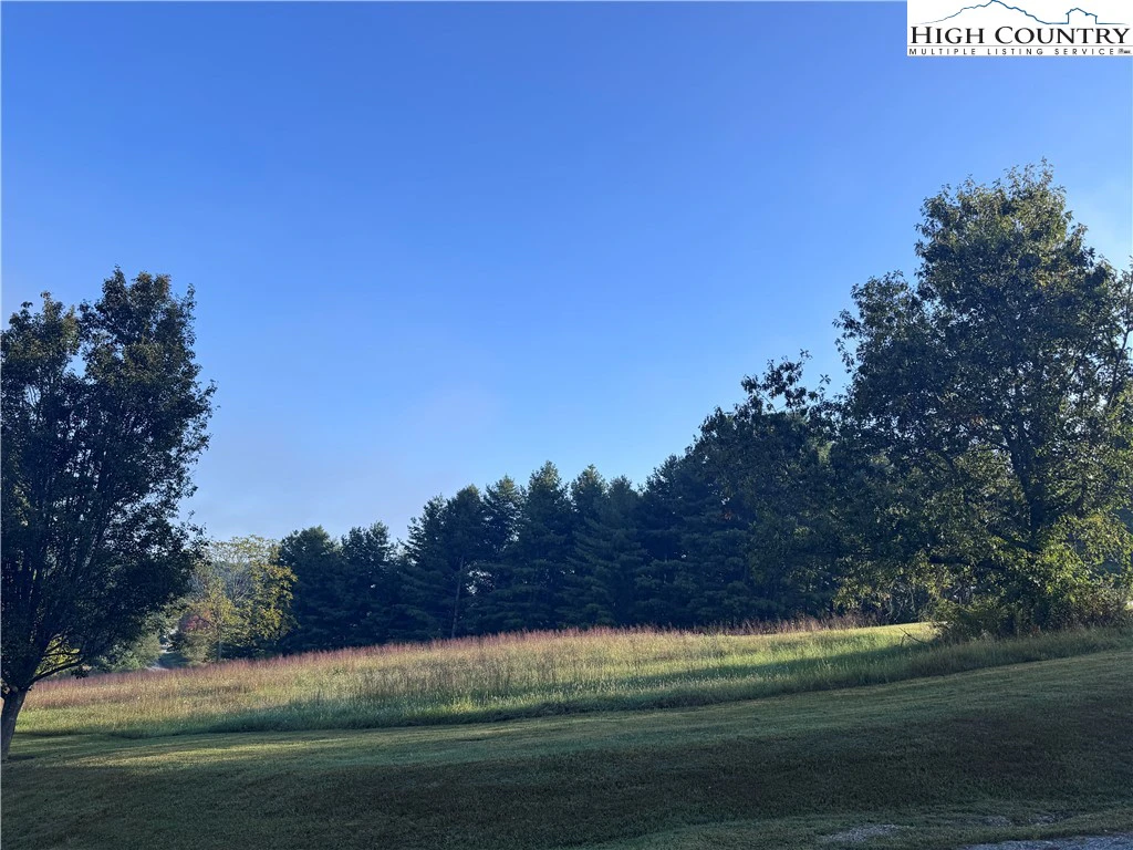 Image number 13 for the current listing