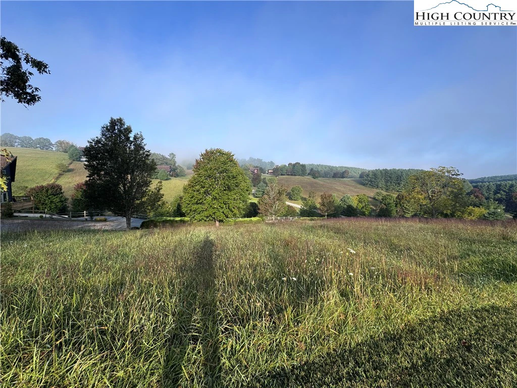Image number 12 for the current listing