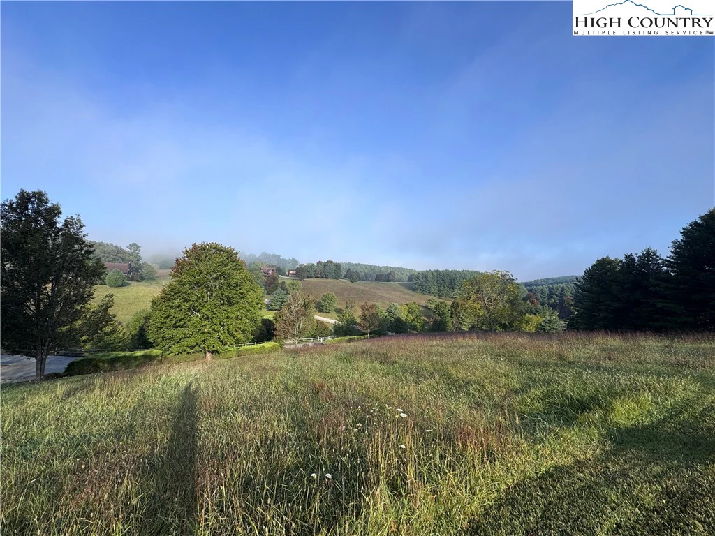 Image number 2 for the current listing