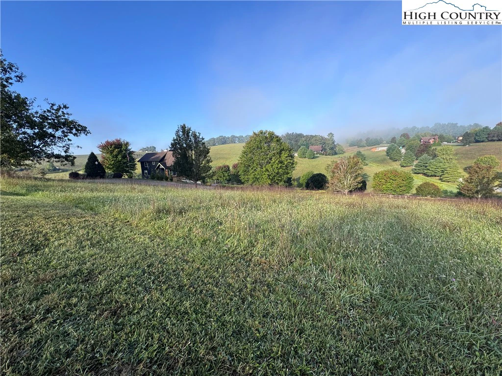Image number 11 for the current listing