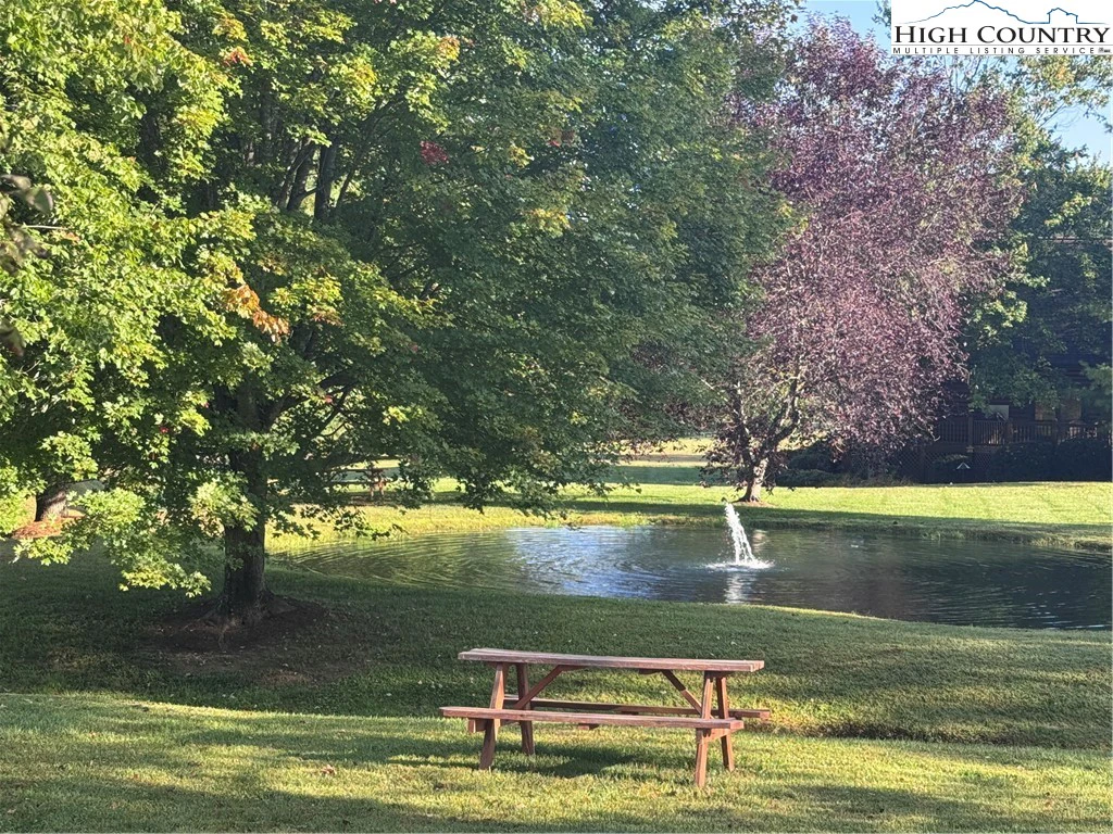 Image number 6 for the current listing
