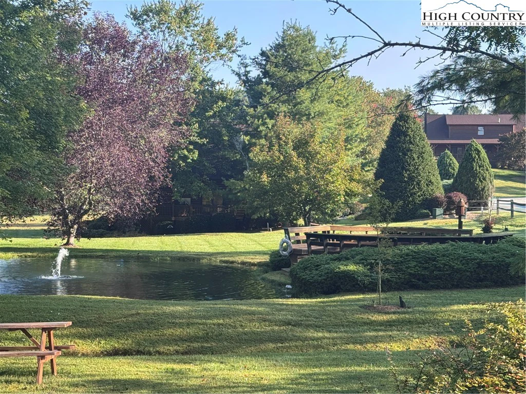 Image number 5 for the current listing