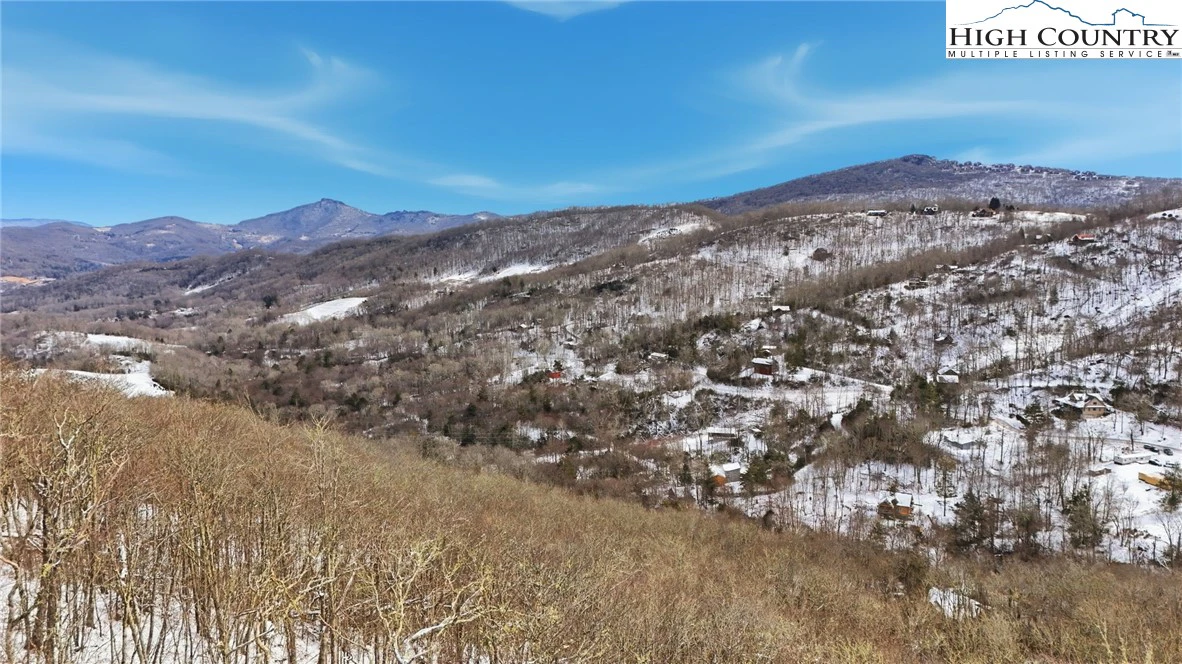 Image number 1 for the current listing