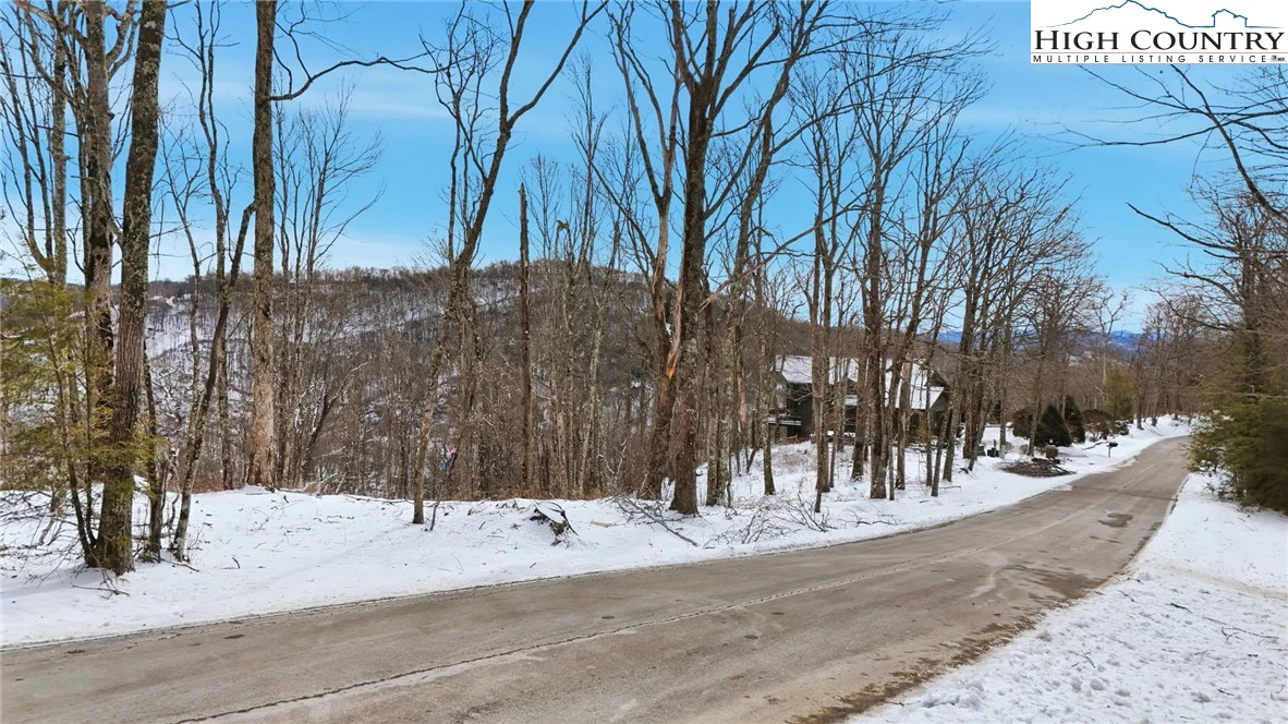 Image number 21 for the current listing