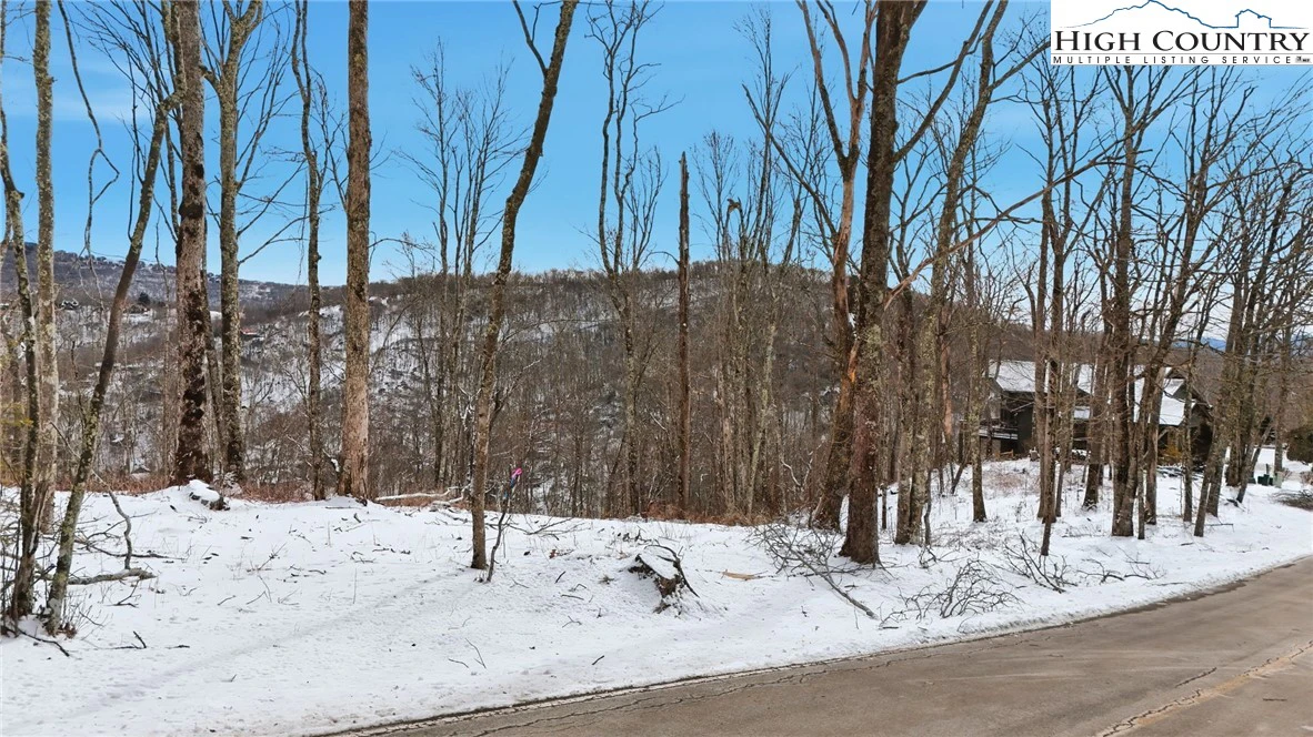 Image number 20 for the current listing