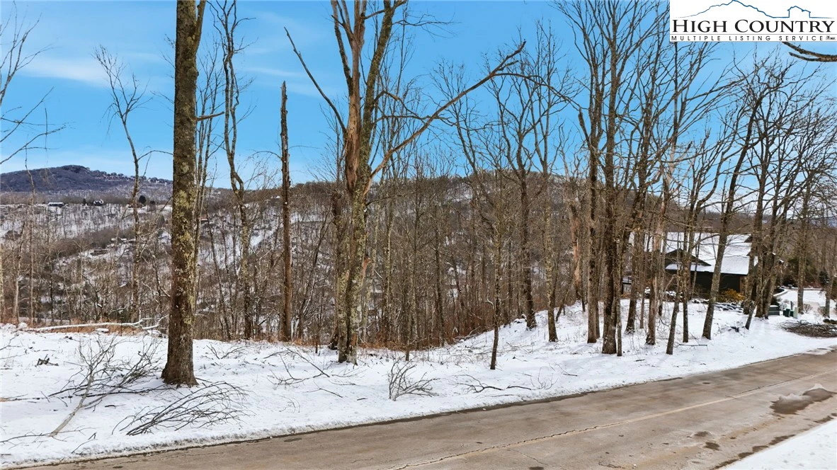 Image number 19 for the current listing