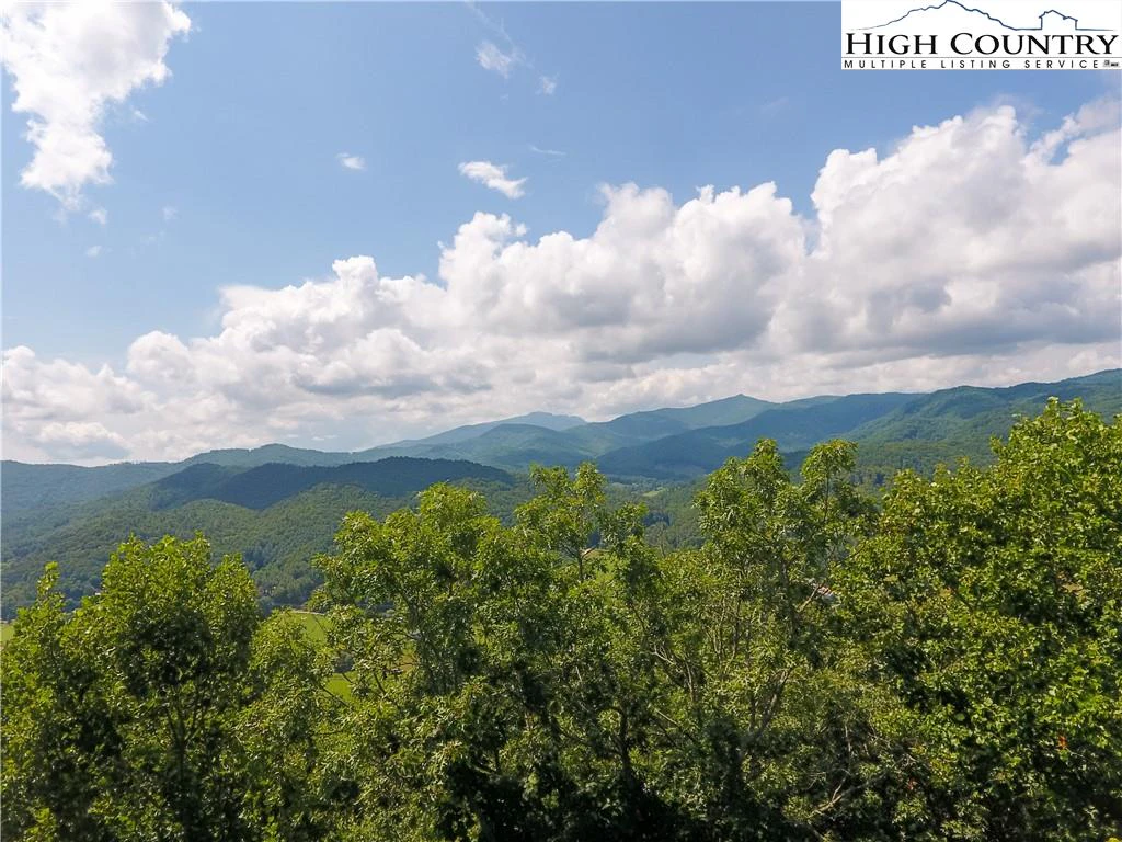 Image number 1 for the current listing