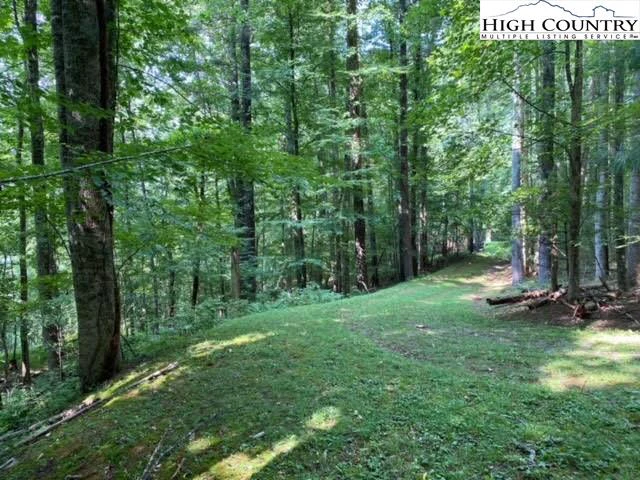 Image number 13 for the current listing