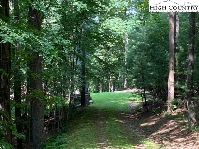 Image number 12 for the current listing