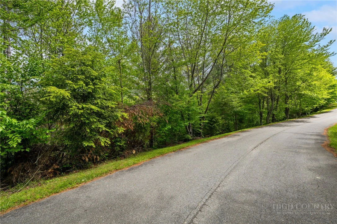 Image number 2 for the current listing