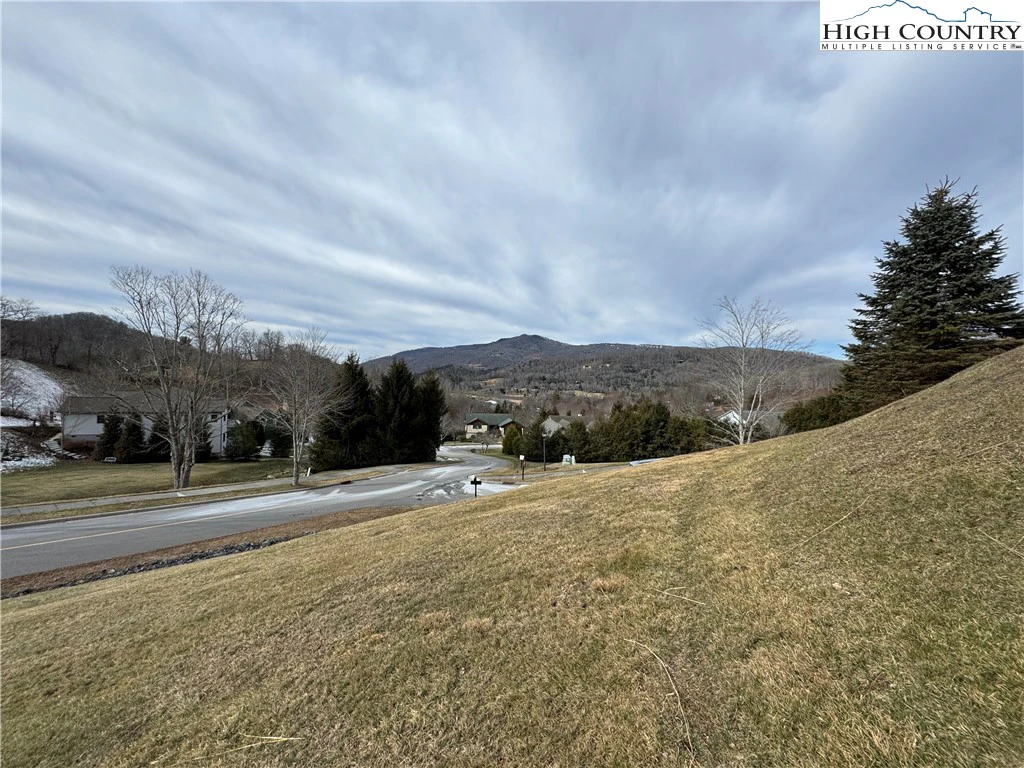 Image number 3 for the current listing