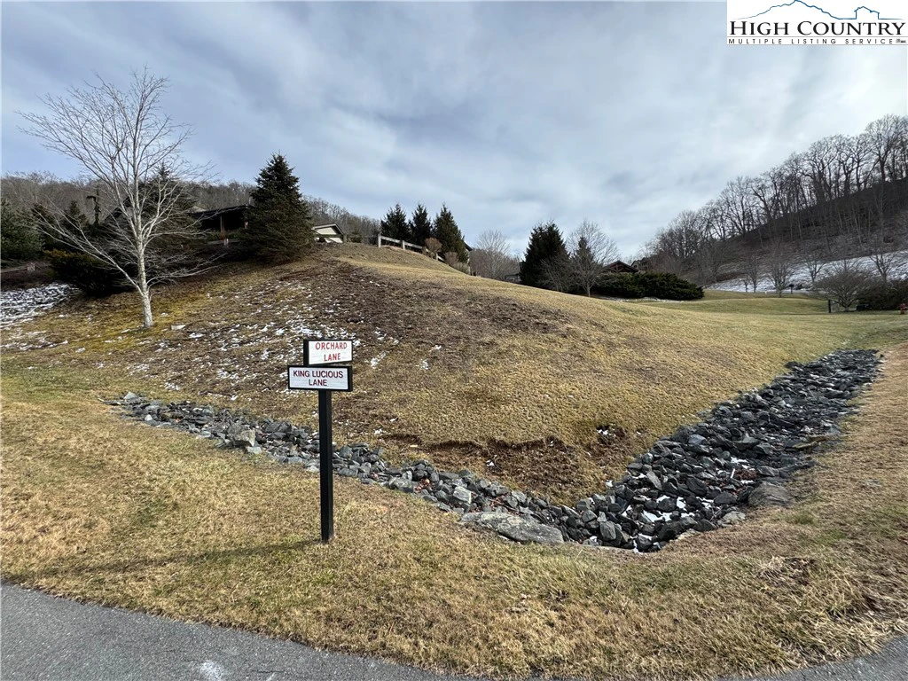 Image number 1 for the current listing