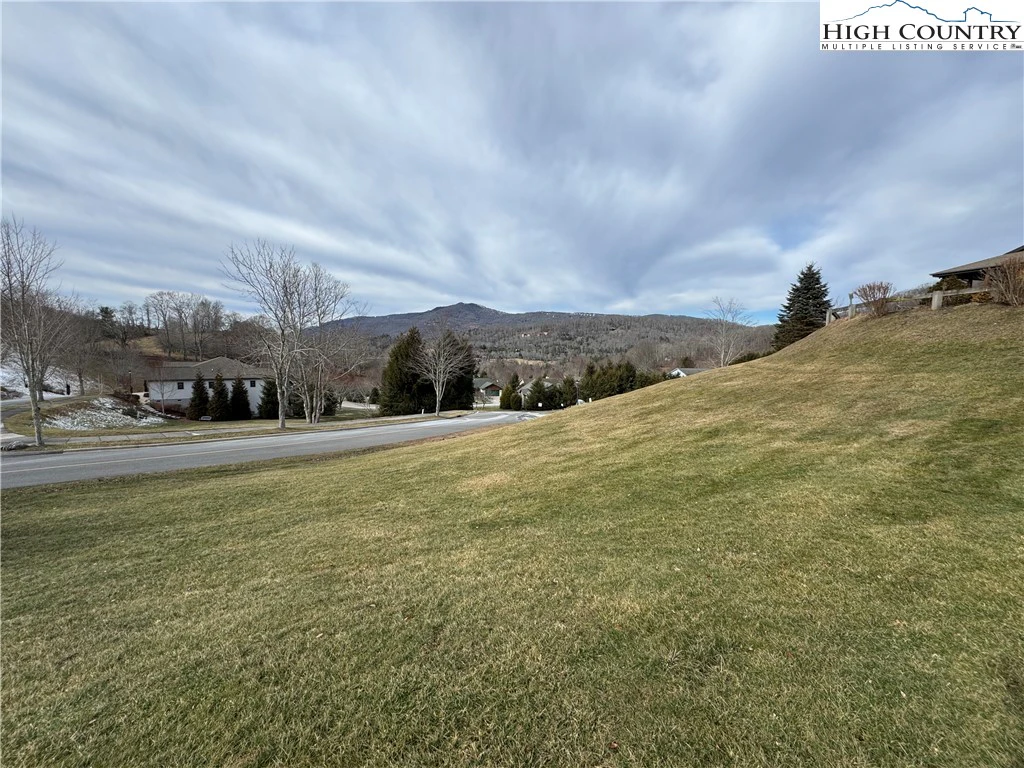 Image number 5 for the current listing