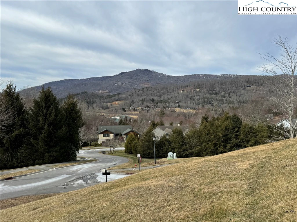 Image number 6 for the current listing